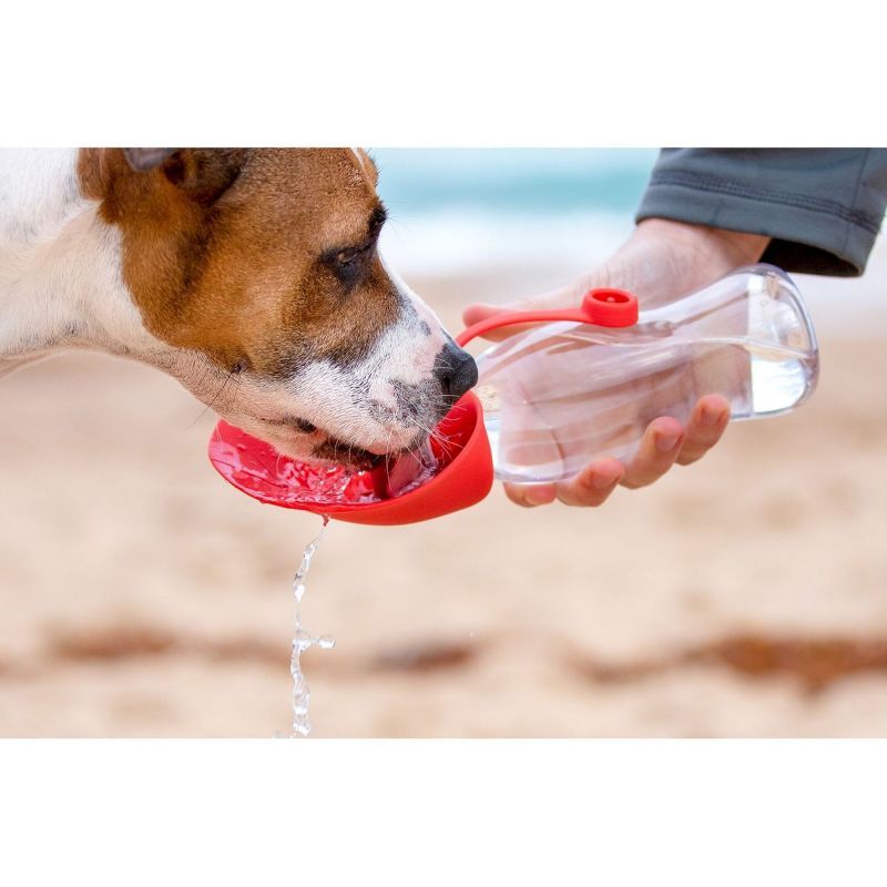 EzyDog Leaf Bottle - Hundenapf | Hardloop