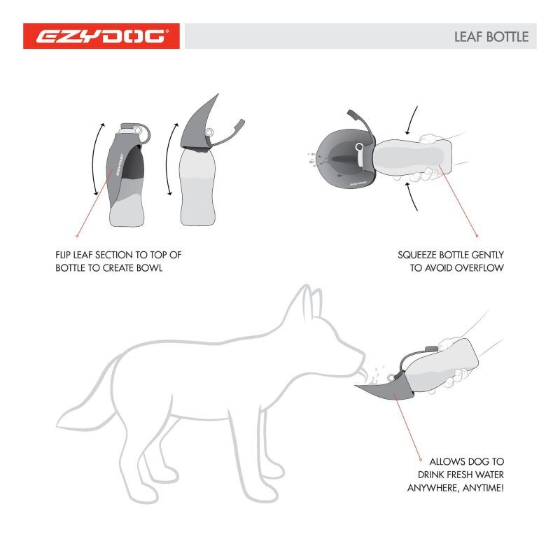EzyDog Leaf Bottle - Bar pro psa | Hardloop