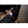 EzyDog GO2 Lights - Koiran tarvikkeet | Hardloop