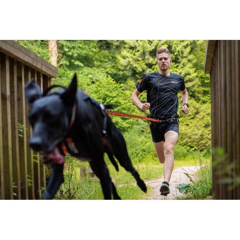 Non-stop dogwear Bungee Leash 2.0 - Hundkoppel | Hardloop