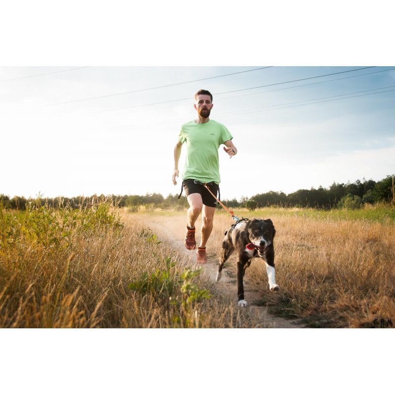 Non-stop dogwear Bungee Leash 2.0 - Hondenriem | Hardloop