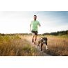Non-stop dogwear Bungee Leash 2.0 - Guia de canicross | Hardloop