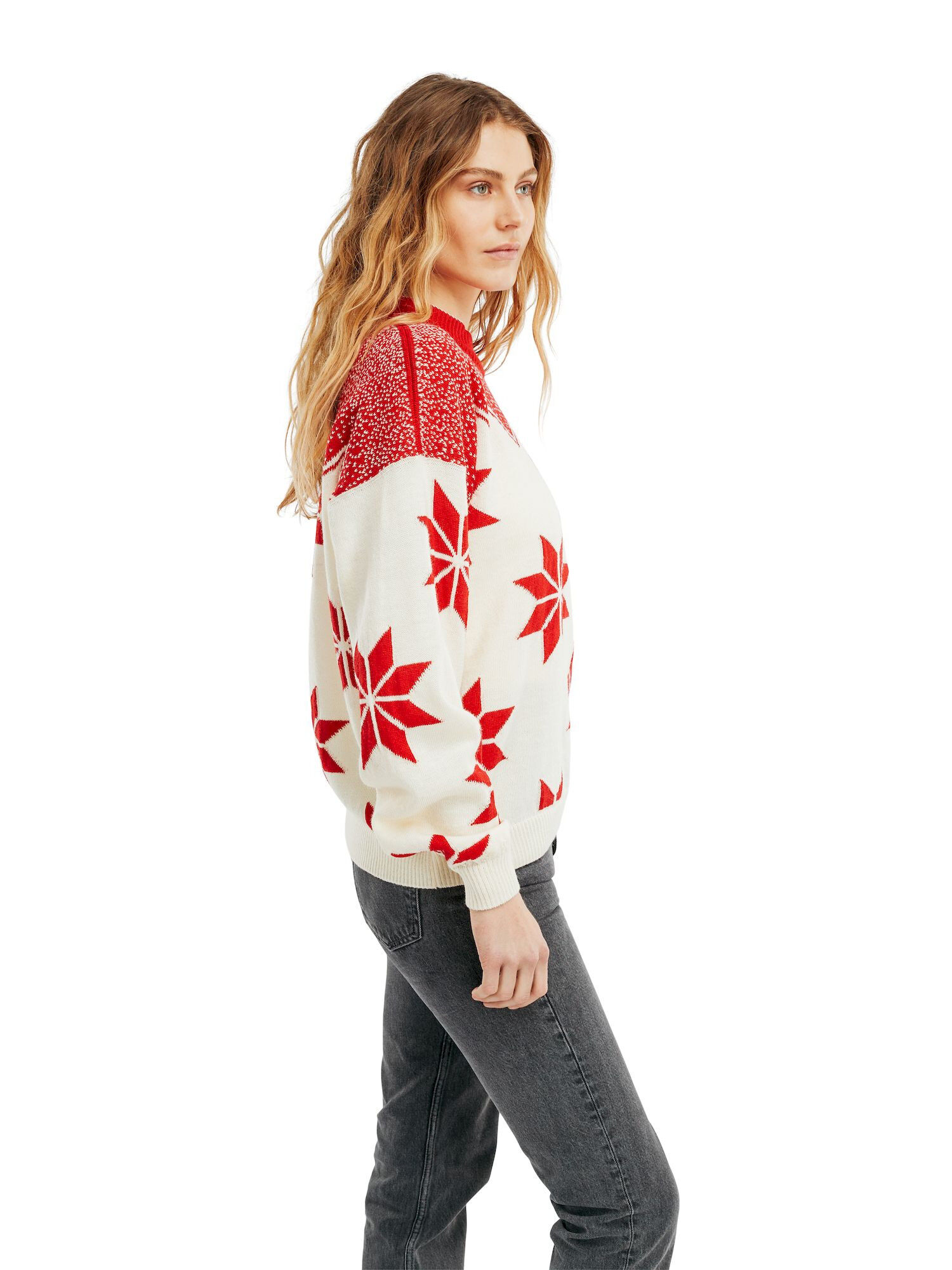 Dale of Norway Winter Star Feminine Sweater - Sweter damskie | Hardloop
