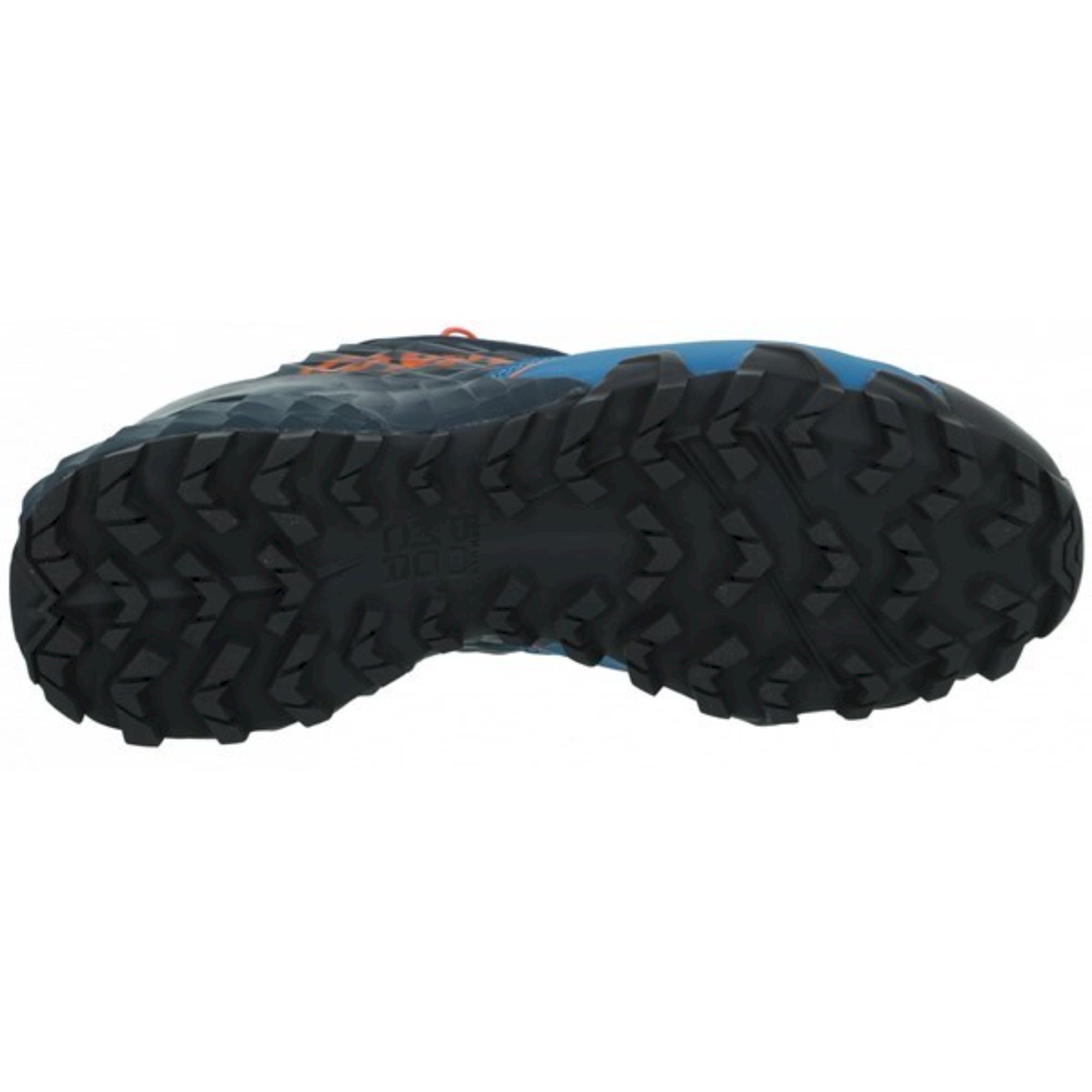 Dynafit Feline SL - Zapatillas trail running - Hombre