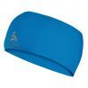 Indigo Bunting