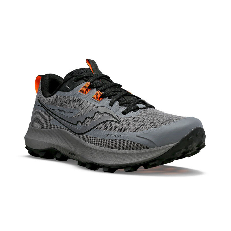 Peregrine 13 GTX - Trail running shoes - Men's