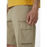Helly Hansen Maridalen Shorts - Walking shorts - Men's | Hardloop