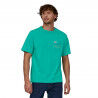 Fresh Teal