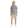 Icebreaker Tech Lite II SS Tee Cadence Paths - Merino-shirt - Herrer | Hardloop