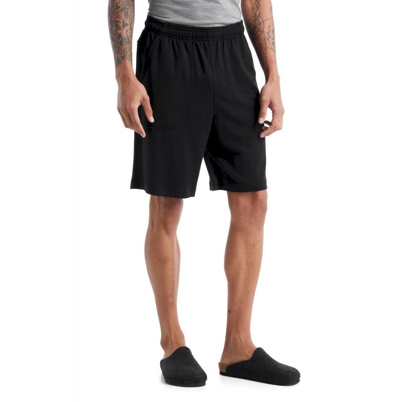 Icebreaker Shifter Shorts - Shorts - Men's | Hardloop