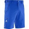 Salomon Wayfarer Short M - Pánské Turistické kraťasy | Hardloop