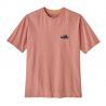 Sunfade Pink