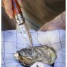 Opinel N°09 Huître Coquillage Padouk - Faca | Hardloop