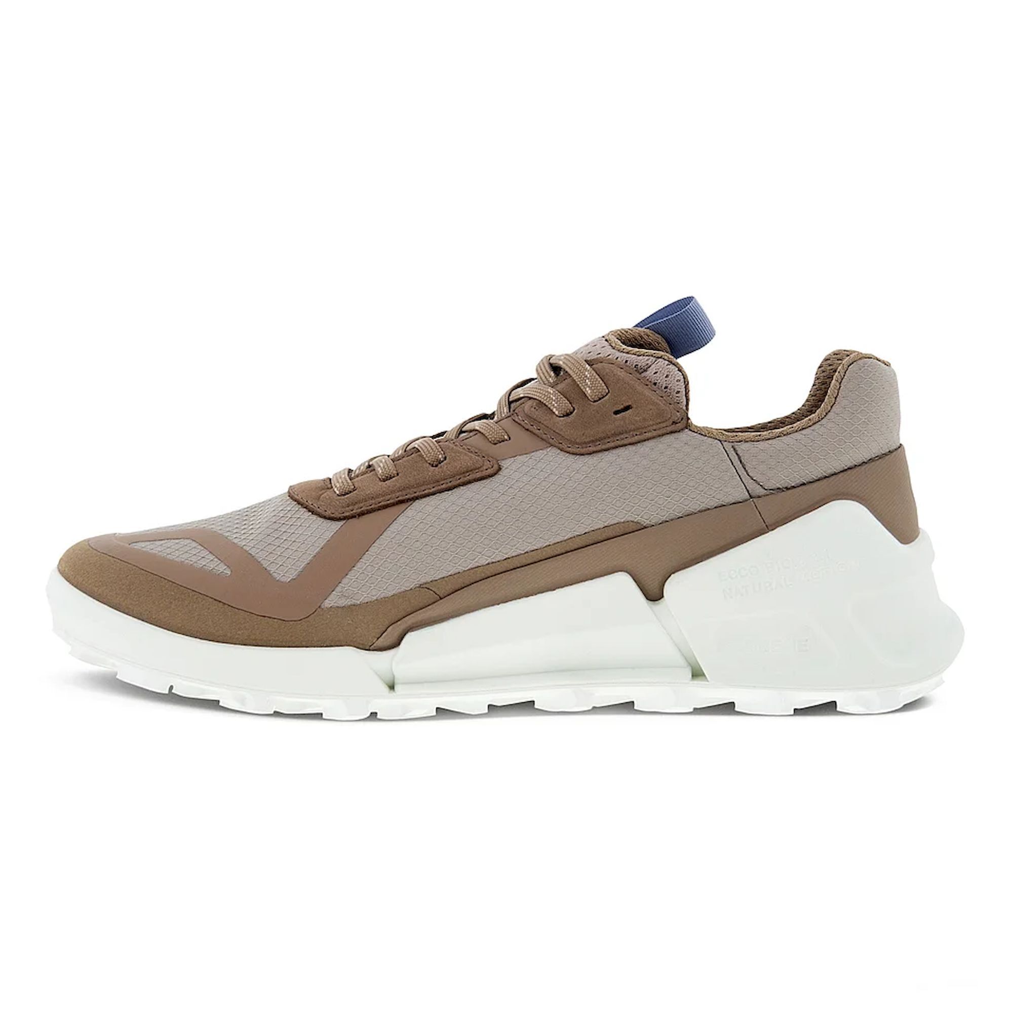 Ecco Biom 2.1 X Country GTX - Scarpe da trail running - Donna | Hardloop