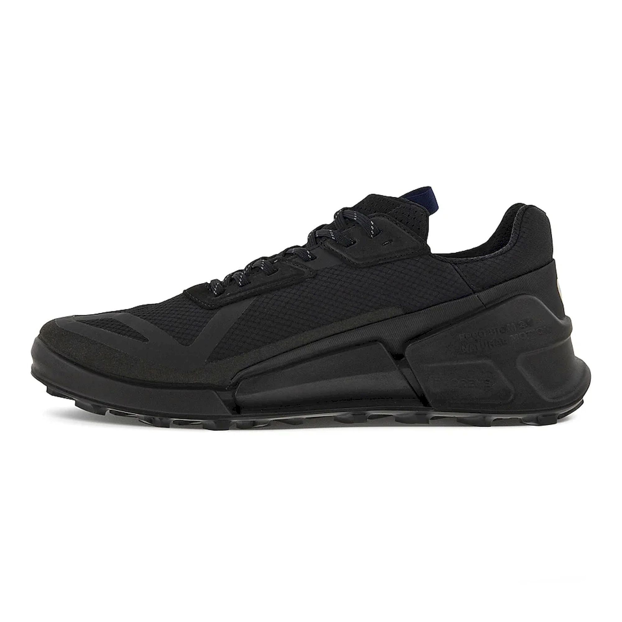 Ecco Biom 2.1 X Country GTX - Buty trailowe meskie | Hardloop