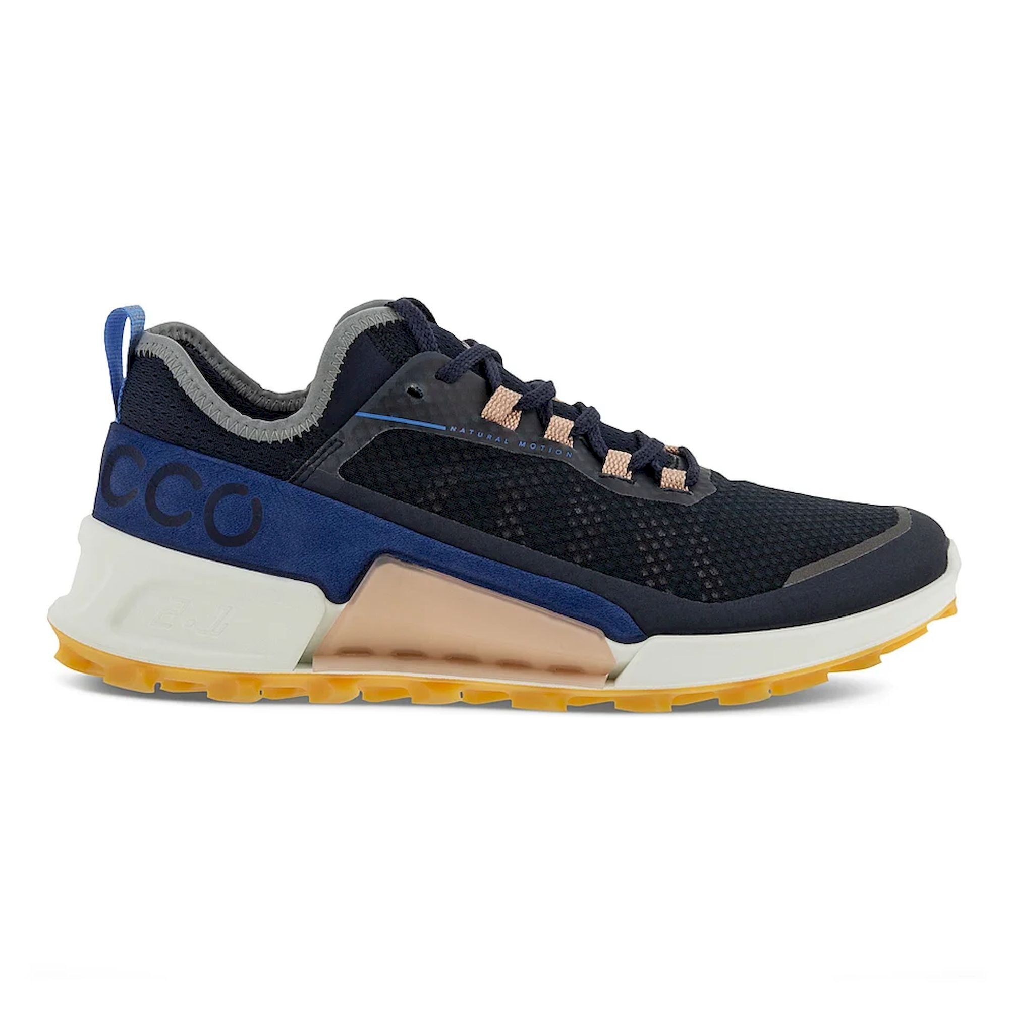 Ecco best sale biom running