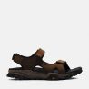 Cocoa Dark Brown Leather