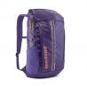 Perennial Purple