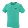 Dynasty Green