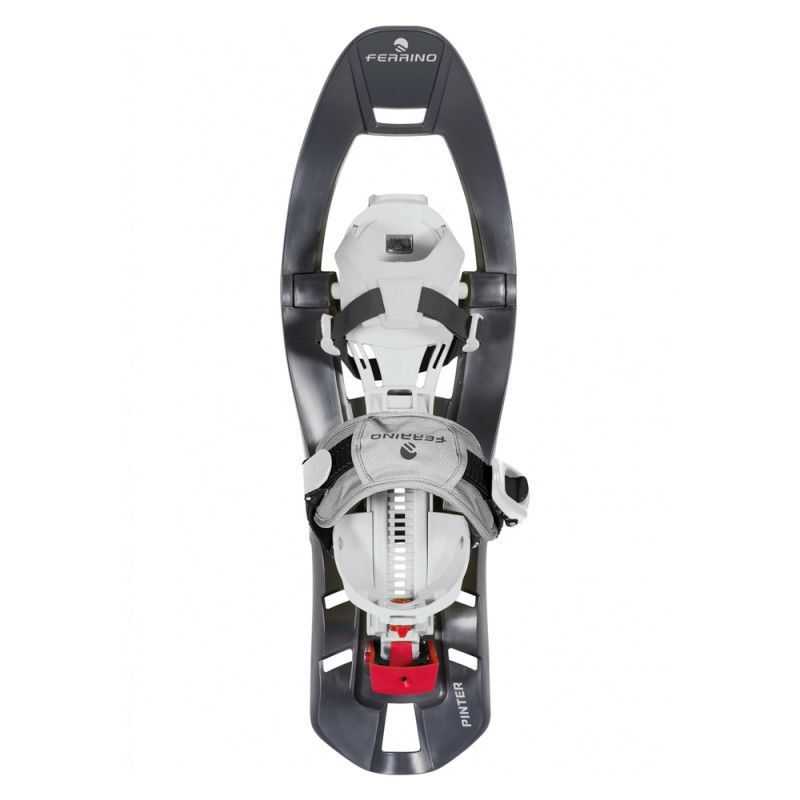 Pinter Castor Special - Raquete de neve