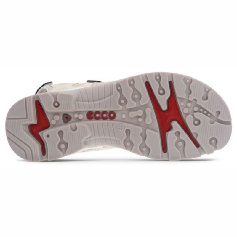 Ecco Offroad - Wandersandalen - Damen | Hardloop