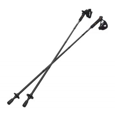 Running Poles Carbon - Laufstöcke