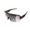 Tortoise Brown