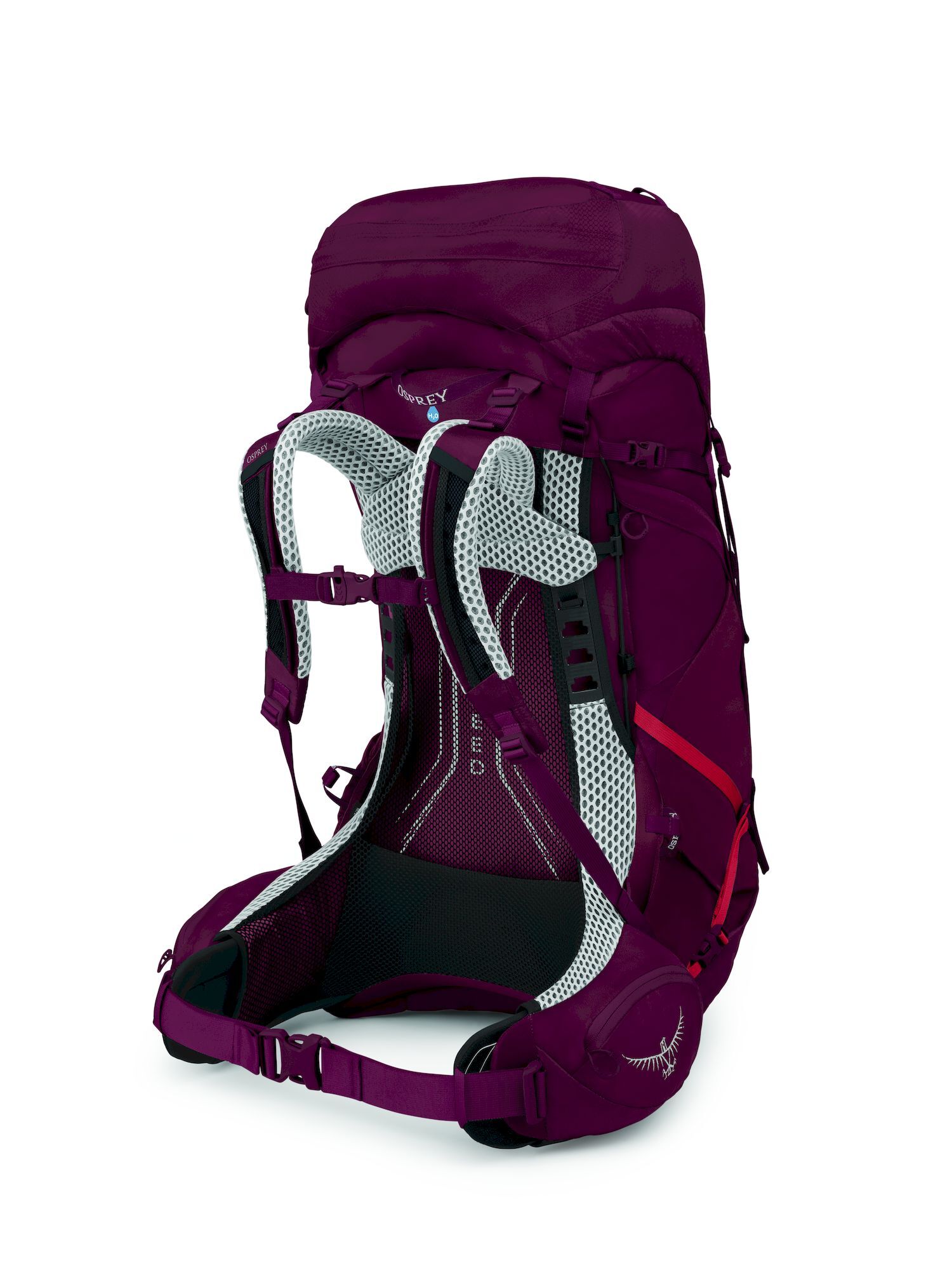 Osprey Aura AG LT 50 - Trekkingrucksack - Damen | Hardloop