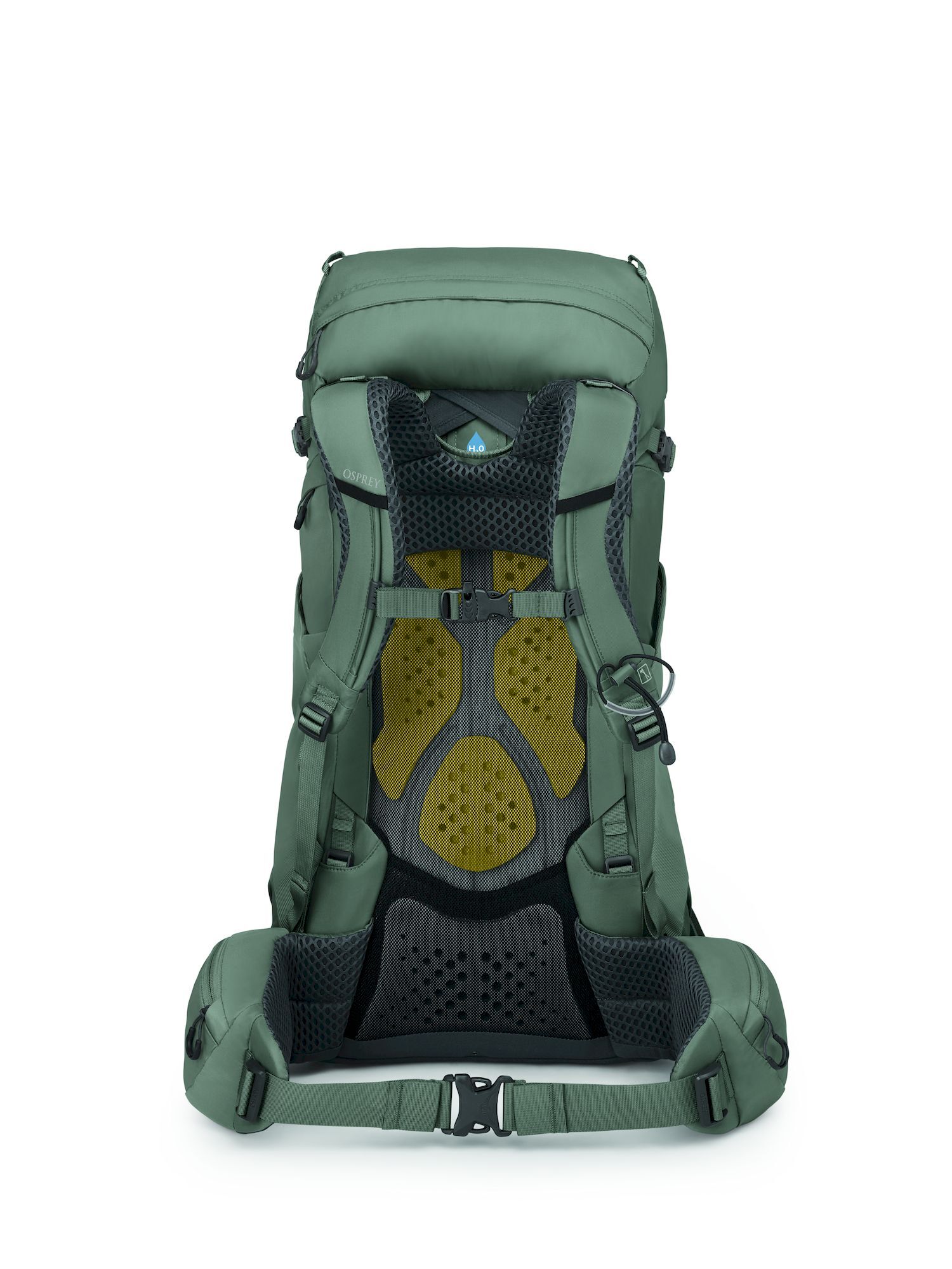 Osprey Kyte 38 - Hiking backpack - Women's | Hardloop