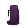 Elderberry Purple