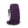 Elderberry Purple