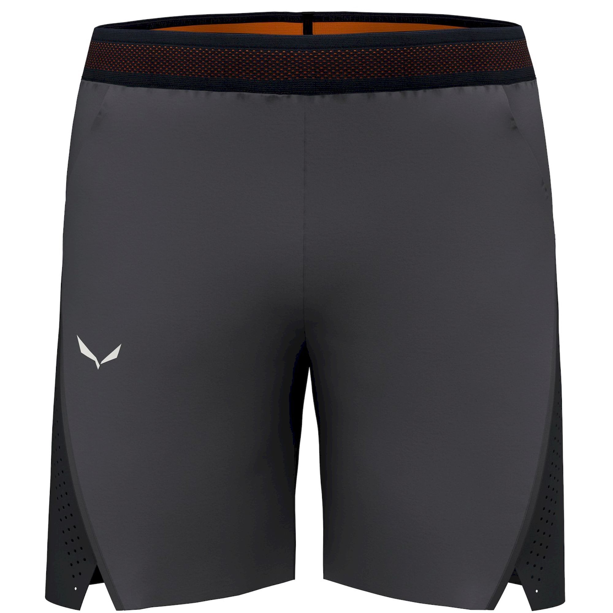 Salewa Pedroc 2 DST Shorts - Pantalones cortos de trail running - Hombre | Hardloop