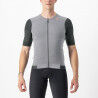 Silver Gray / Sedona Sage