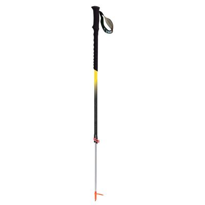 Race Carbon / Alu 2 Ultra Cross Winter Spike - Kije narciarskie