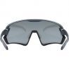Uvex Sportstyle 231 2.0 - MTB glasögon | Hardloop