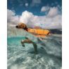 Non-stop dogwear Protector Life jacket - Kamizelka ratunkowa dla psa | Hardloop