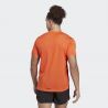 Adidas Terrex Agravic Shirt - T-shirt - Men's | Hardloop