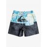 Quiksilver Butt Logo Volley Youth 14" - Boardshorts - Kid's | Hardloop