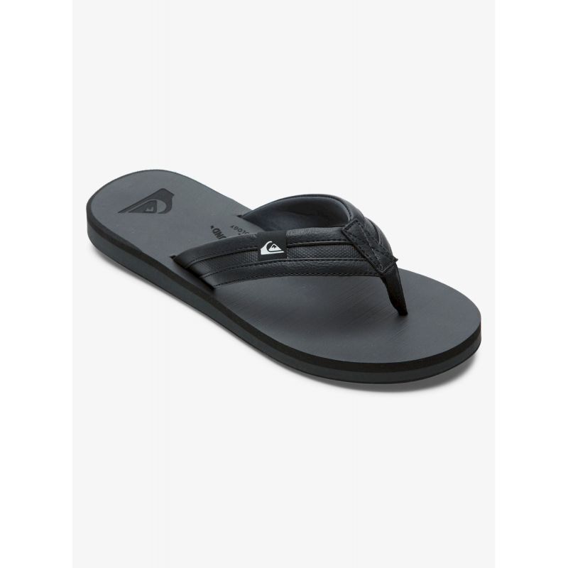 Quiksilver Carver Squish - Flip-Flops - Herren | Hardloop