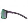 Uvex MTN Perform - MTB-Brille | Hardloop