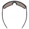 Uvex MTN Perform - MTB-Brille | Hardloop