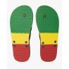Billabong All Day - Flip-Flops - Herren | Hardloop