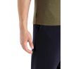 Icebreaker Central Classic SS Tee IB Caravan - Koszulka z wełny Merino® męska | Hardloop