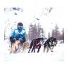 Inlandsis Veste Softshell - Casaco softshell | Hardloop