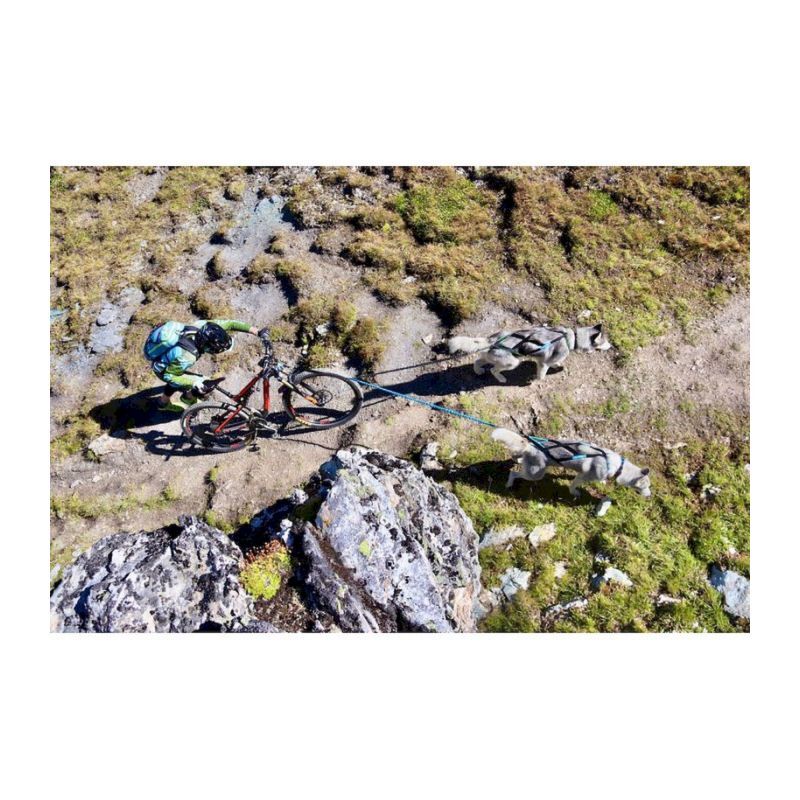 Inlandsis Twinjor - Laisse canicross | Hardloop