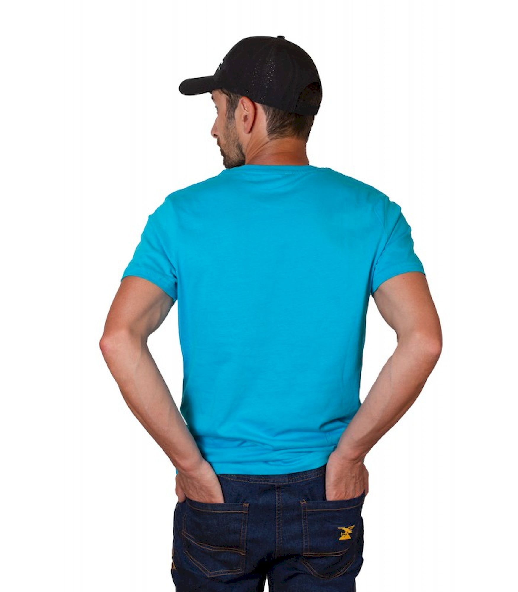 Inlandsis Tee-Shirt Coton Bio - T-shirt - Men's | Hardloop