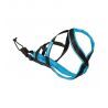 Inlandsis Polar Evo - Hundsele | Hardloop