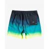 Billabong All Day Fade LB - Boardshorts - Herren | Hardloop