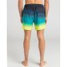 Billabong All Day Fade LB - Boardshorts - Herren | Hardloop