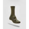 Light Olive